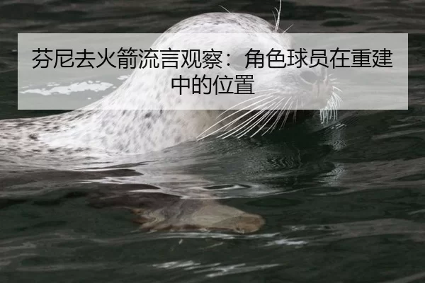 芬尼去火箭流言观察：角色球员在重建中的位置